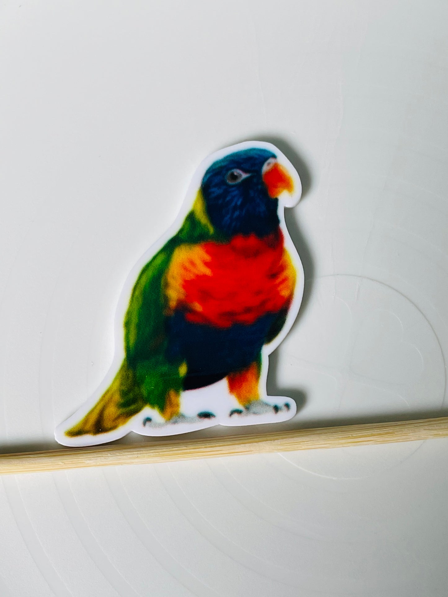 Resin Flatback Planar - Birds (Avian) Collections