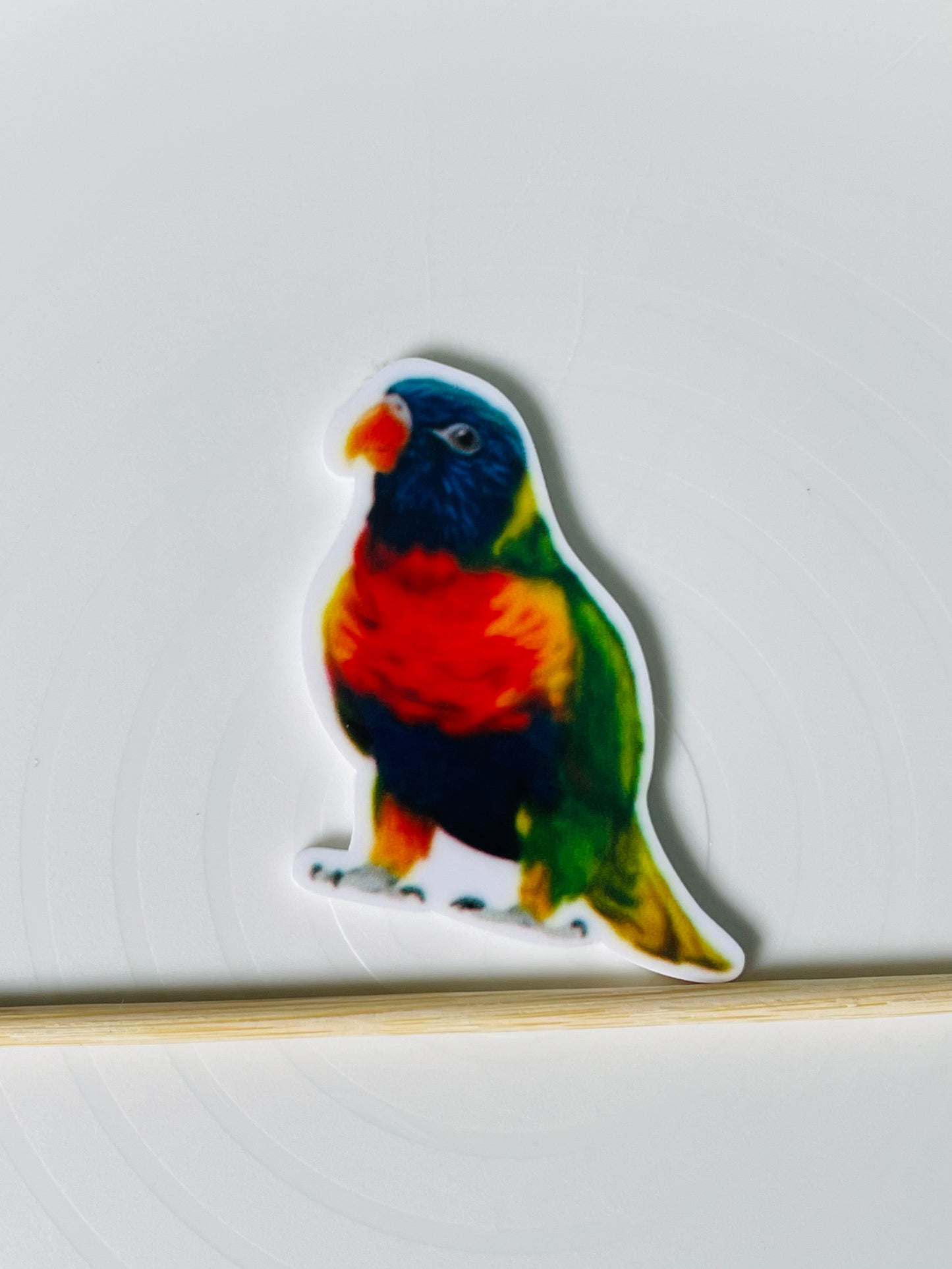 Resin Flatback Planar - Birds (Avian) Collections
