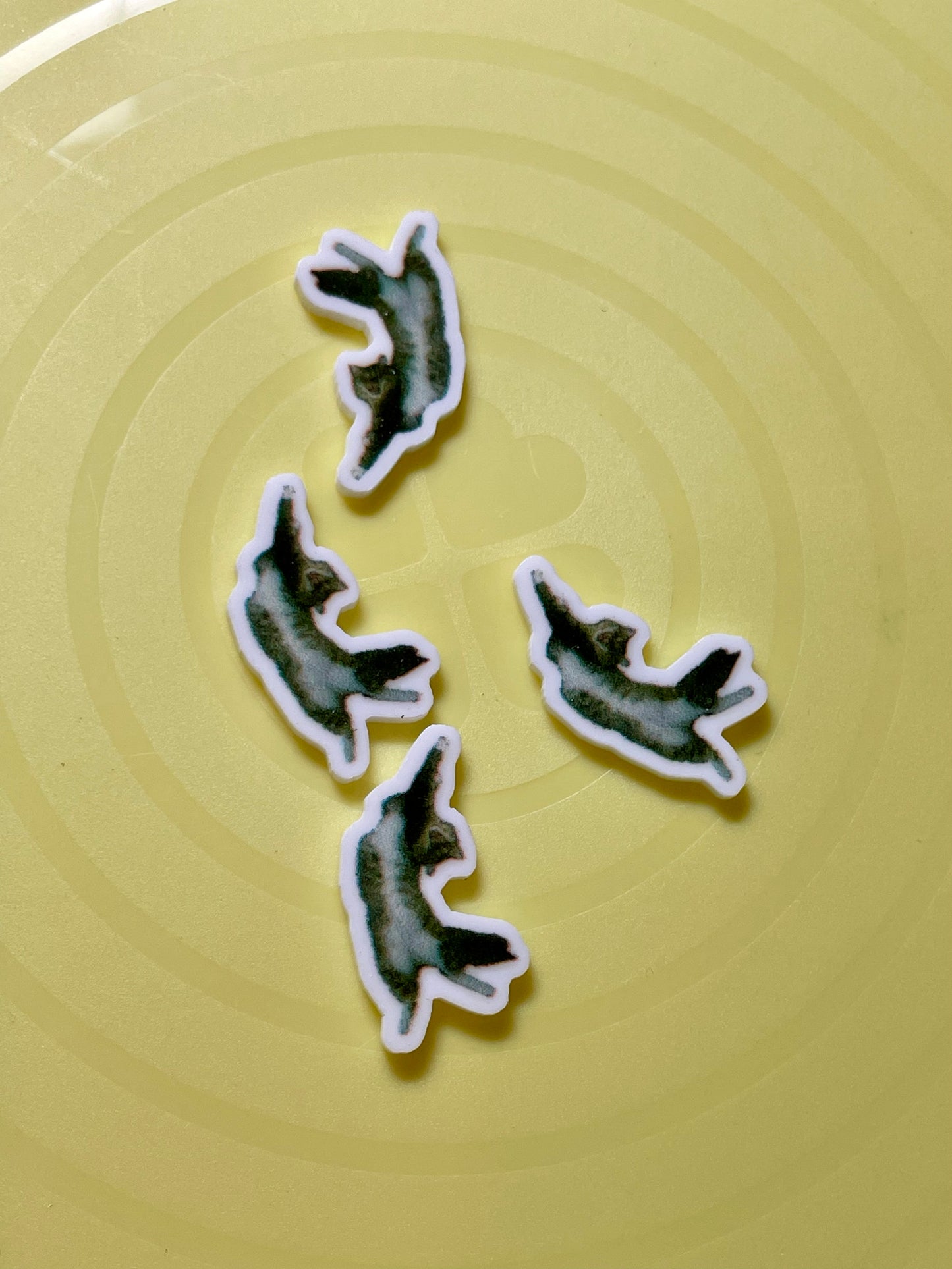 Resin Flatback Planar - Cat E0449 (2 Sizes Available)