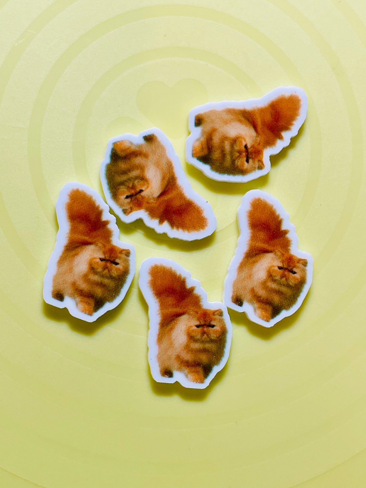 Resin Flatback Planar - Cat E0457 (2 Sizes Available)