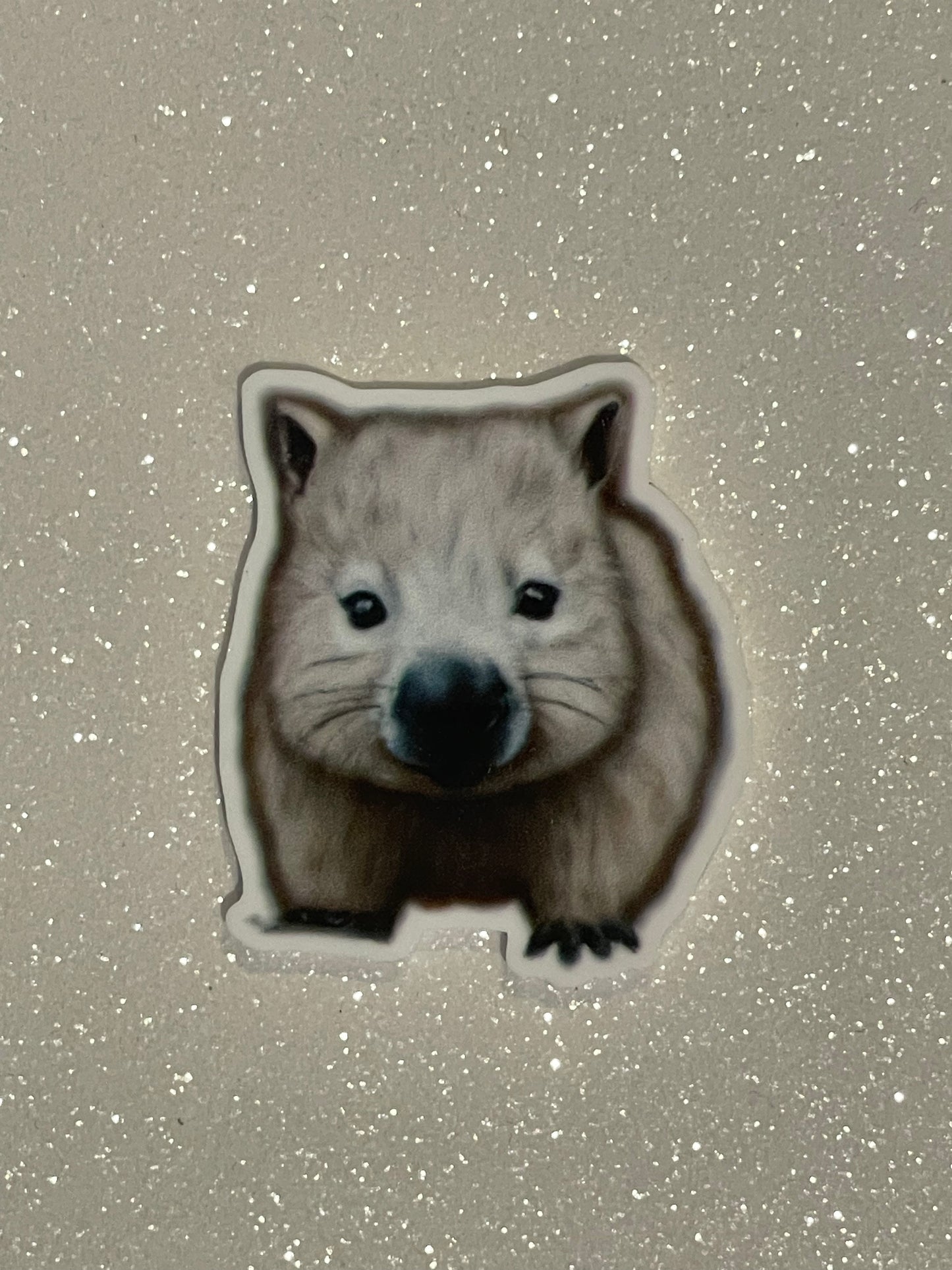 Resin Flatback Planar E0529- Wombat (2 Sizes)