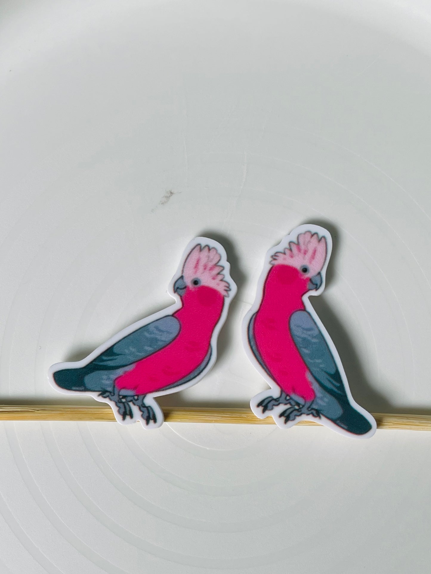 Resin Flatback Planar - Birds (Avian) Collections