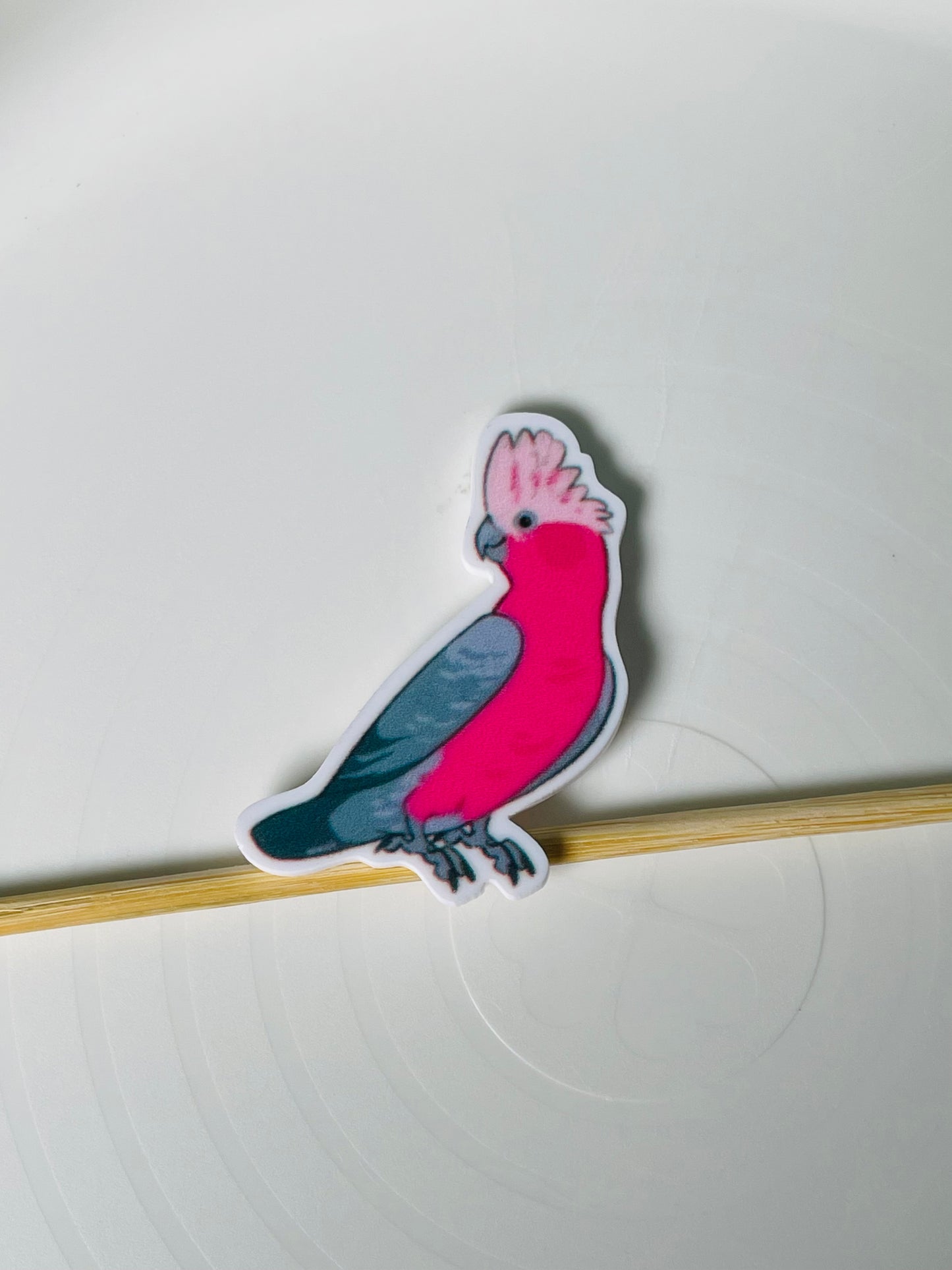 Resin Flatback Planar - Birds (Avian) Collections