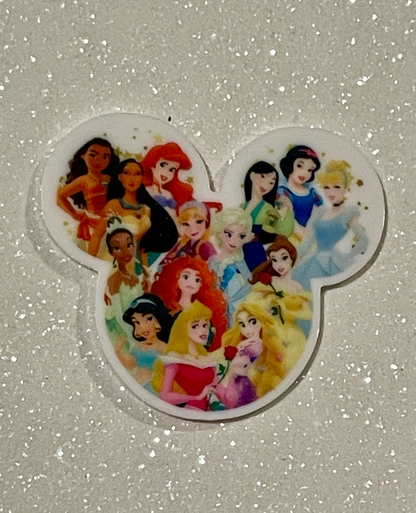 Resin Flatback Planar E0984 - Disney Princesses